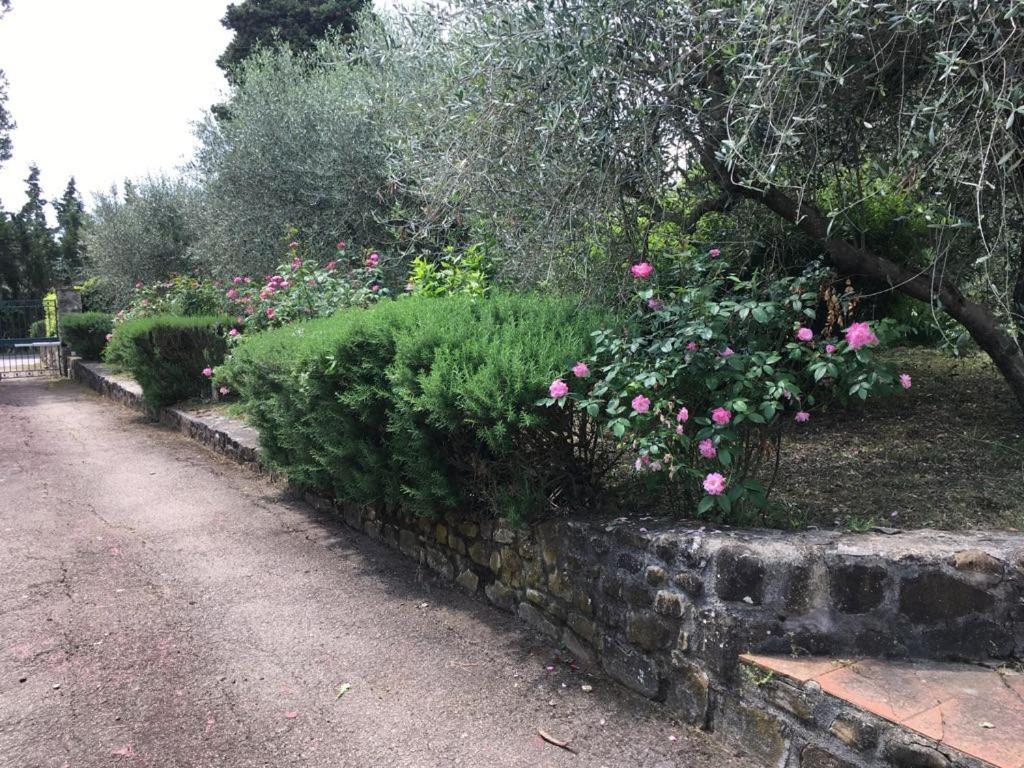 Al Canaiolo Strada in Chianti Zewnętrze zdjęcie