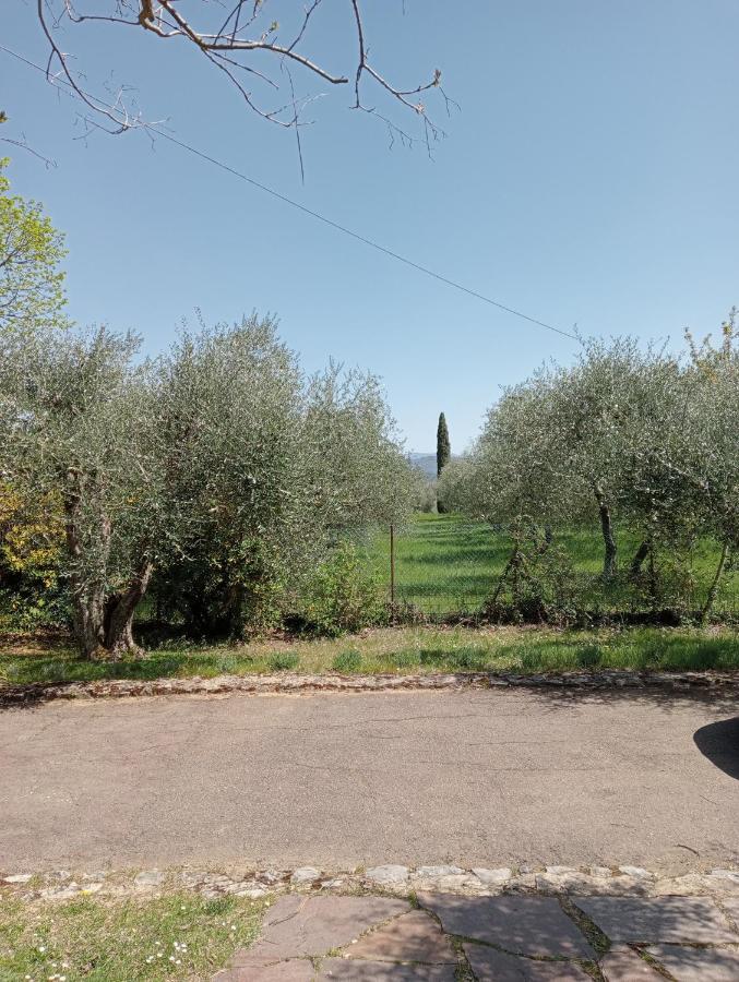 Al Canaiolo Strada in Chianti Zewnętrze zdjęcie